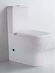 Triton Rimless BTW Toilet